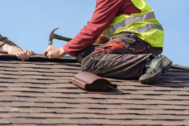 Best Roof Maintenance Services  in Davisboro, GA