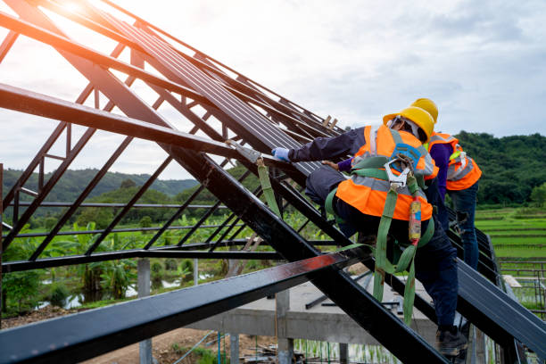 Best New Roof Installation  in Davisboro, GA