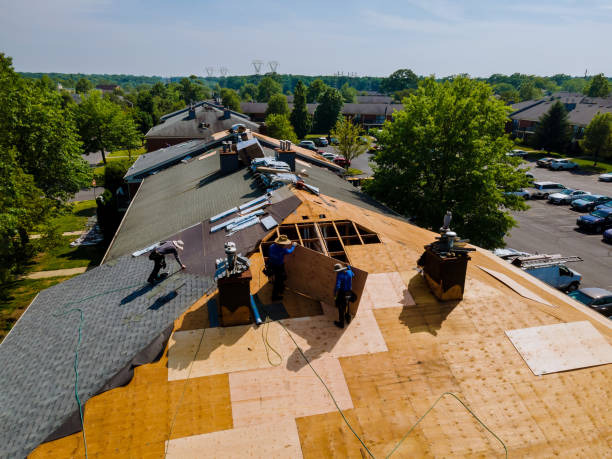 Best Slate Roofing Contractor  in Davisboro, GA