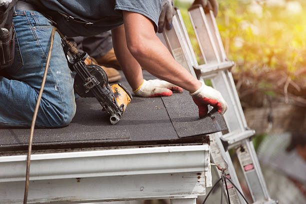 Best Roof Gutter Cleaning  in Davisboro, GA